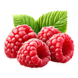 raspberry isolated on white