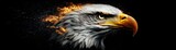 A majestic bald eagle with burning flames surrounding its head