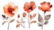 © MuhammadSaad50 - Vibrant Watercolor Floral Illustrations with Flowers and Leaves