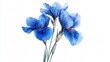 © MuhammadSaad50 - Stunning Watercolor Irises - Beautiful Blue Flowers Isolated on White Background