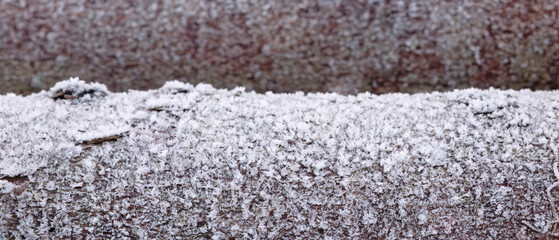 Fototapete - Wooden log with bark covered with frost as texture background for web banner page template