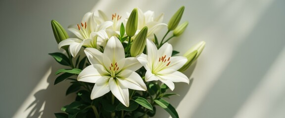 Aufkleber - Multiple blooming lilies near window in serene indoor setting