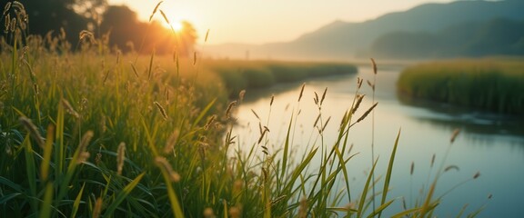 Aufkleber - Serene sunrise over lush grass by the riverbank