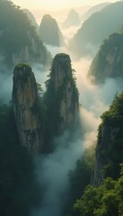 Poster - Misty sunrise over tranquil mountain range in nature