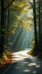 Aufkleber - Curving road through trees with sunlight beams in forest