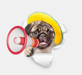 Leinwandbilder - Funny Pug puppy wearing summer hat looks through the hole in white paper and barking into a megaphone
