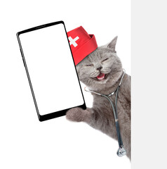 Poster - Happy cat wearing like a doctor with stethoscope on his neck showing big smartphone with white blank screen in it paw from behind blank white banner. Empty space for text. isolated on white background