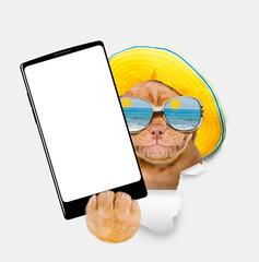 Poster - Happy Mastiff puppy wearing  mirrored sunglasses and summer hat holds big smartphone with white blank screen, showing close to camera through torn white paper hole. Empty free space for mock up