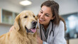 © Jhati - Dog health checkup golden retriever at vet clinic by female veterinarian for wellness and pet care