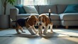 © Aris - Playful Beagle Puppies Tugging at a Rope Toy in a Cozy Living Room