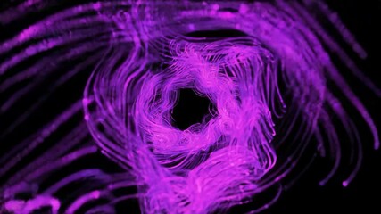 Wall Mural - Abstract purple lines flow on black backdrop. Modern background for VJ loops, music videos, presentations.