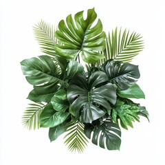 Poster - Lush tropical foliage arrangement featuring monstera and palm leaves on white background studio shot overhead view