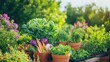 © Irina Tch - A Lush Harvest: Vibrant vegetables and herbs flourish in a sun-drenched garden, celebrating the bounty of nature and the joy of home-grown produce.