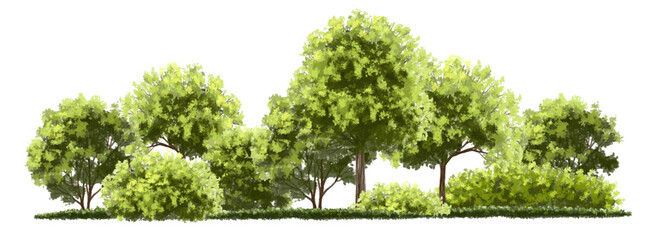 vector watercolor green tree or forest side view isolated on white background for landscape and arch