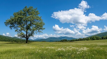 Aufkleber - Single tree stands in a vibrant green field, overlooking a mountain range under a bright blue sky with fluffy white clouds; idyllic summer landscape. : Generative AI