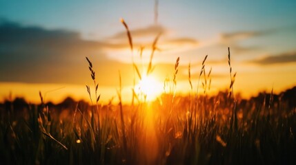 Aufkleber - Silhouetted grass blades stand tall against a vibrant sunset, bathed in warm golden light, creating a serene and peaceful landscape. : Generative AI