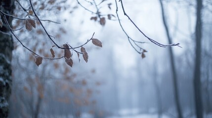 Poster - Frozen leaves on a branch in a snowy, winter forest.  A delicate scene of winter nature, showcasing the beauty of frost-covered foliage. : Generative AI