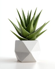 Poster - A vibrant aloe vera plant thrives in a modern, geometric white planter, showcasing its succulent leaves against a clean white background. The image is perfect for home decor, botanical : Generative AI
