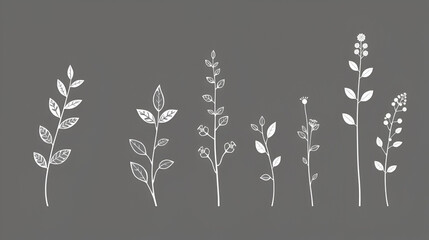 Set plant outline element.Branch leave collection.Herb nature isolated.