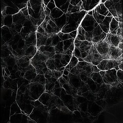 Intricate Spiderweb Pattern