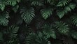 © Phennapha - Luxurious black & deep green foliage, abstract, bold tropical leaves  Geometric elements , exotic, nature