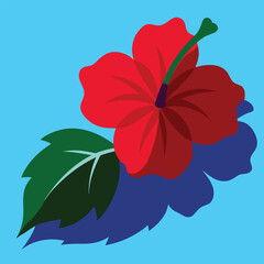 Wall Mural - A vibrant red hibiscus blossom, a floral beauty with delicate petals, stands out against a serene blue background, a striking nature illustration