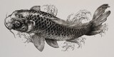 Detailed drawing of a koi fish in motion.
