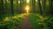 © detiyy - Sunlit forest path with ferns and trees
