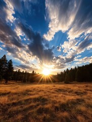 Aufkleber - Majestic sunset over a golden meadow, sun rays bursting through dramatic clouds, silhouetting a dark pine forest on the horizon.  A breathtaking landscape scene. : Generative AI
