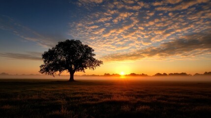 Poster - Solitary oak tree silhouetted against a vibrant sunrise, mist clinging to the field, creating a serene and peaceful morning landscape. : Generative AI