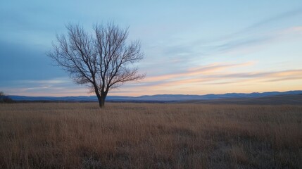 Poster - Solitary tree stands in a vast, golden prairie at sunset, under a pastel sky, with distant mountains on the horizon. : Generative AI