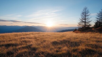 Poster - Golden hour sunset over a vast mountain range, viewed from a high grassy field with a solitary coniferous tree silhouetted against the vibrant sky. : Generative AI