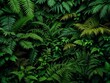 © thataroth - Exotic Fern Pattern, Tropical Plant Texture