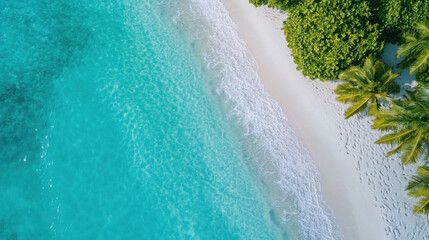 Poster - Aerial view of a pristine tropical beach with turquoise water lapping gently on white sand, lush green vegetation and palm trees bordering the shore. : Generative AI