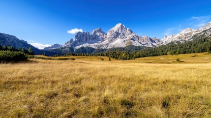 Poster - Majestic mountain range viewed from a golden meadow under a vibrant blue sky, showcasing the serene beauty of nature's landscape. : Generative AI
