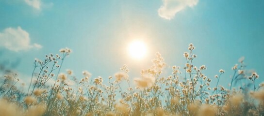 Aufkleber - Sunlit meadow with delicate wildflowers reaching towards a bright summer sky, creating a serene and peaceful atmosphere. : Generative AI
