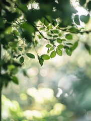 Aufkleber - Sunlight filters through lush green foliage, illuminating vibrant leaves with a soft, dreamy bokeh effect in the background.  The image evokes a sense of tranquility and natural beauty : Generative AI
