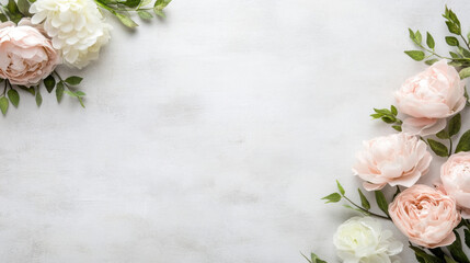 Poster - Elegant pastel pink and white peonies arranged on a textured white background, creating a delicate and romantic floral border. : Generative AI