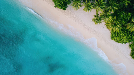 Poster - Aerial view of a pristine tropical beach with turquoise water lapping gently against white sand, bordered by lush green palm trees and vegetation. : Generative AI