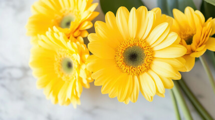 Aufkleber - Close-up view of vibrant yellow gerbera daisies arranged on a marble surface, showcasing their delicate petals and sunny hues. : Generative AI