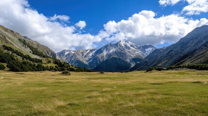 Poster - Majestic snow-capped mountains rise above a vast, tranquil valley meadow under a vibrant blue sky dotted with fluffy white clouds. : Generative AI