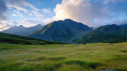 Poster - Serene mountain landscape at sunrise, showcasing a vast green meadow stretching towards majestic peaks under a partly cloudy sky. The scene evokes tranquility and the beauty of untouch : Generative AI