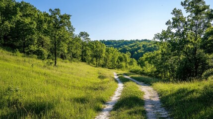 Aufkleber - A sunlit dirt path winds through a verdant hillside forest, leading towards a lush green valley under a clear blue sky. : Generative AI