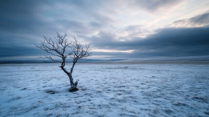 Poster - Solitary, snow-covered tree stands in a vast, winter landscape under a dramatic, moody sky; a serene, cold scene. : Generative AI