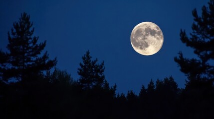 Fototapete - Large full moon illuminating a dark forest silhouette against a deep blue night sky, creating a serene and mystical atmosphere. : Generative AI
