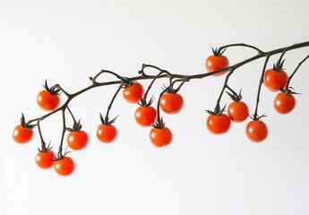 Aufkleber - A branch of ripe red cherry tomatoes hangs elegantly against a stark white background, showcasing their vibrant color and natural beauty. : Generative AI