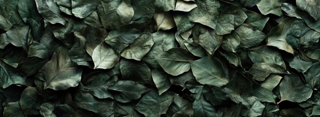 Leinwandbilder - A captivating close-up image reveals a dense collection of deep green leaves, their intricate venation and subtle textural variations creating a rich, natural pattern. : Generative AI