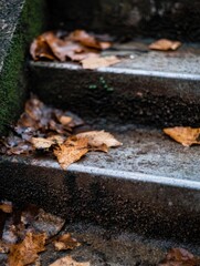Fototapete - Autumn leaves rest on damp, mossy stone steps, creating a serene, autumnal scene. The image showcases the textures of nature and the passage of time. : Generative AI