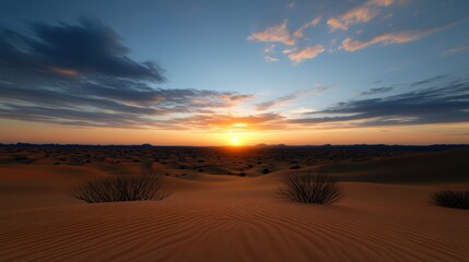 Wall Mural - A breathtaking sunset casts vibrant colors across the expansive desert landscape, highlighting dunes and sparse vegetation under a serene sky filled with clouds