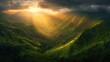 © Pen - Golden rays pierce through mountain valley